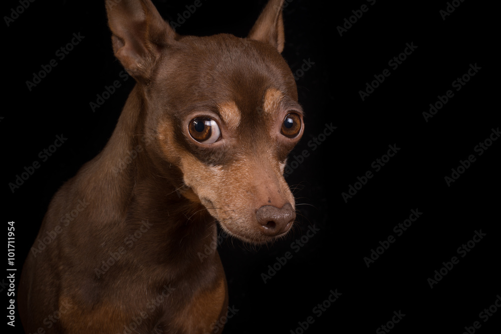 Look into the soul Look into the soul