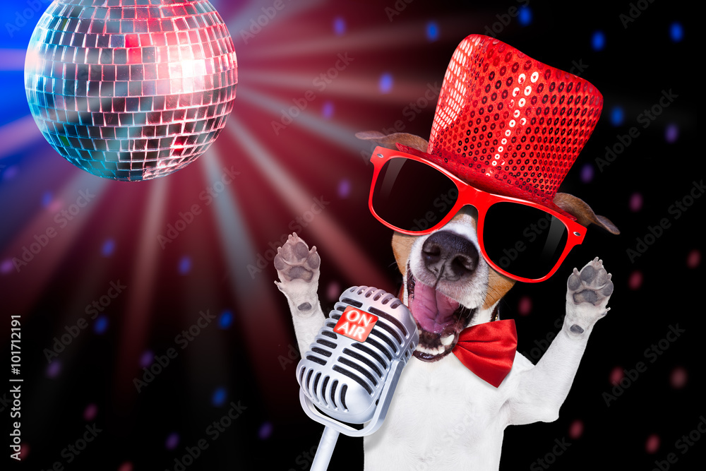 karaoke singing dog - obrazy, fototapety, plakaty 