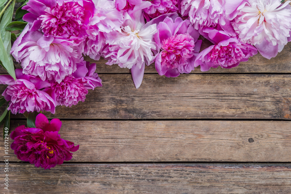 Peony flowers on wooden rustic background
