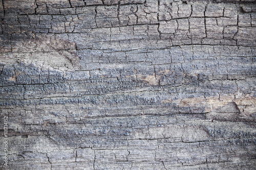 wood texture closeup background