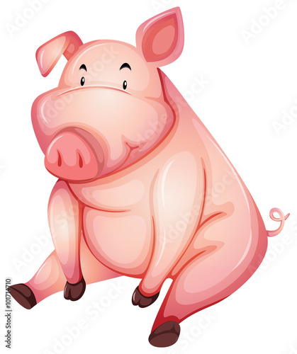 Fat pig sitting alone
