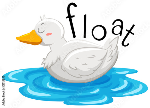 Little duck floating on the water