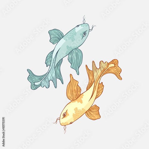 Japanese carp koi
