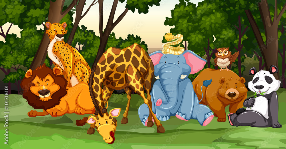 Wall Mural Wild animals living in the jungle