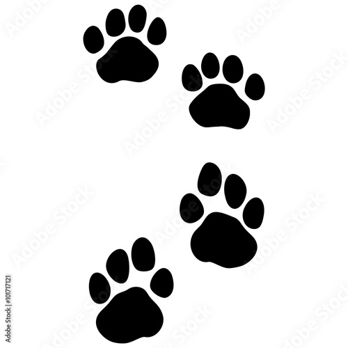 Fototapeta Naklejka Na Ścianę i Meble -  Tiger - paw print . Animal footprint isolated on white background. Vector illustration. Design element.