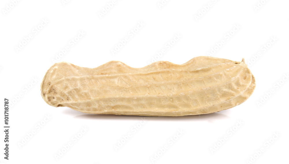 Proundnut,Peanut on white background. Proundnut,Peanut on white background.