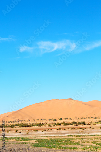 sunshine in the desert of morocco sand and