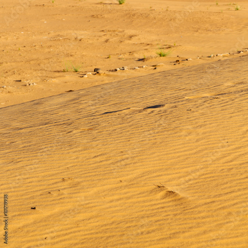 sunshine in the desert of morocco sand and dune