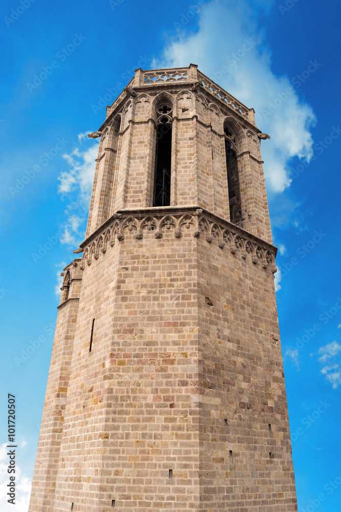 Barcelona Cathedral - Spain / Detail of the Cathedral of the Holy Cross and Saint Eulalia (Catedral de la Santa Cruz y Santa Eulalia) in Barcelona, Catalonia, Spain - 13th, 15th centuries