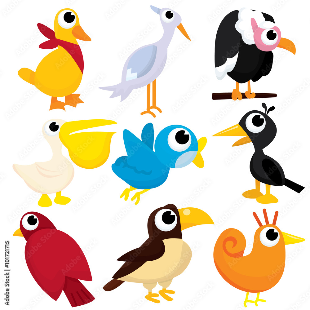 Birds Birds