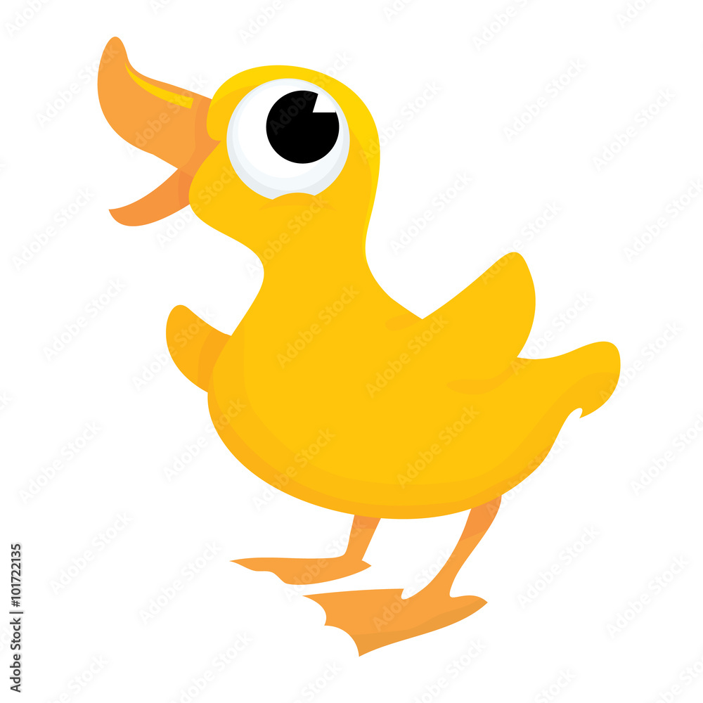 Cute little duck Cute little duck