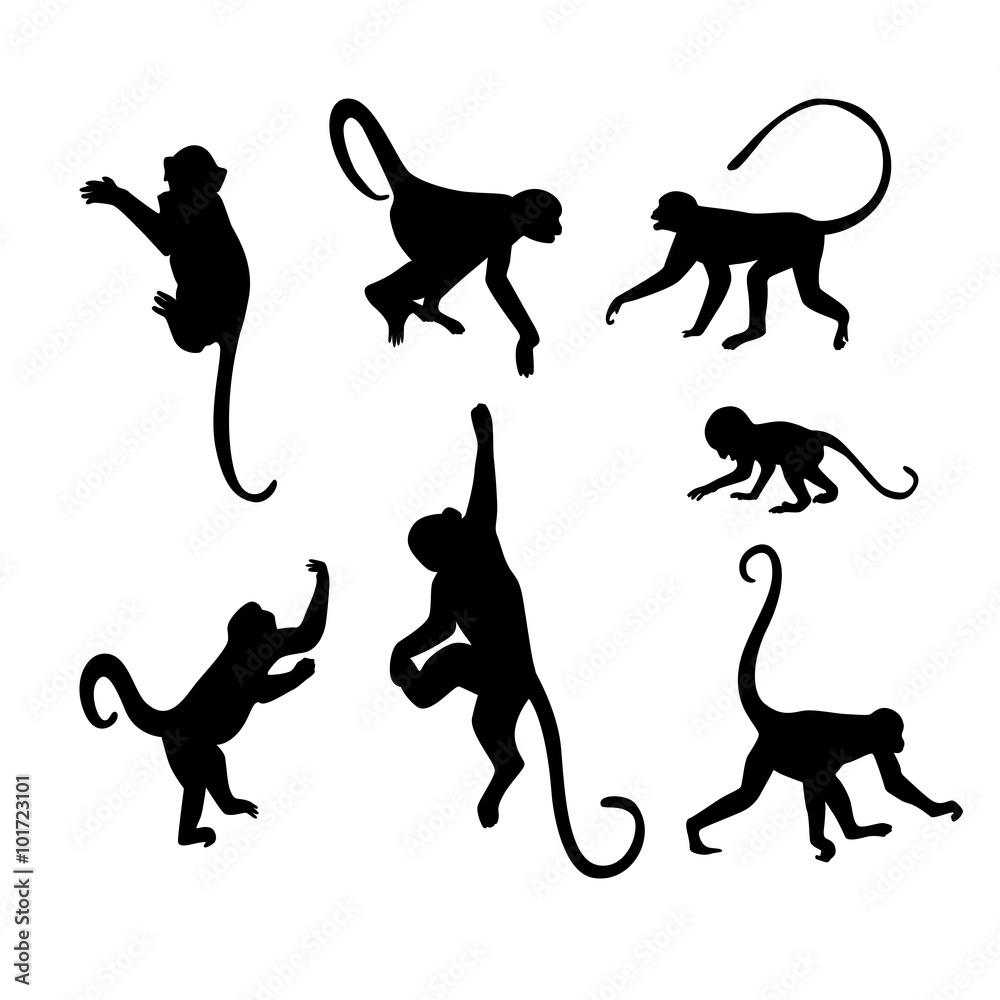 Fototapeta premium Monkey Silhouette Collection - Illustration