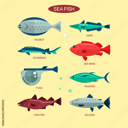 Fish vector set in flat style design. Ocean, sea and river fishes icons collection. Salmon, fugu, bass, sturgeon