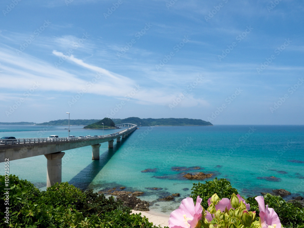 Bridge and island Bridge and island