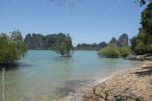 Fototapeta Naklejka Na Ścianę i Meble -  Playa de Ton Sai con agua cristalina y rocas kársticas en el fondo. Ton Sai, Tailandia