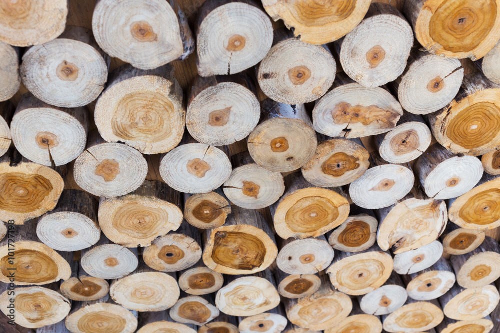 small piece of wood logs used for design decorated interior small piece of wood logs used for design decorated interior