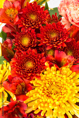 Red and yellow flowers cluster close up photo
