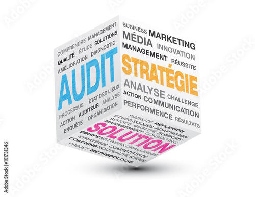 CUBE 3D AUDIT STRATEGIE SOLUTION