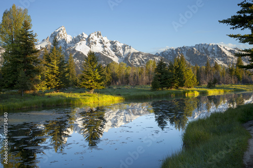 Grand Teton mountains and pond in morning light