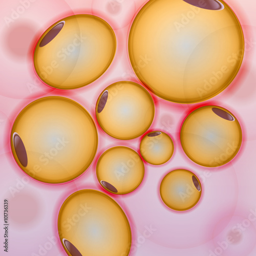 Adipose tissue, Fat Cells, Adipocytes - Vector Illustration