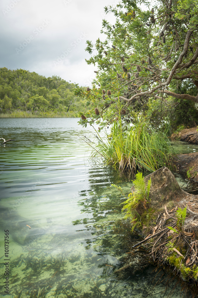 Naklejka premium Blue Lake Stradbroke Island