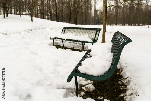 Panchine nella neve photo