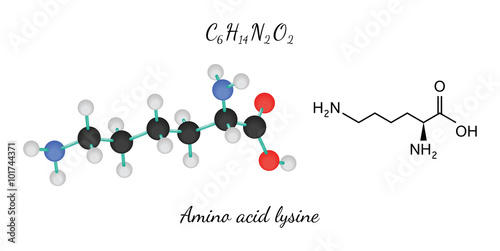 C6H14N2O2 amino acid Lysine molecule