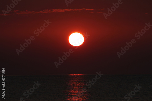 Alba photo
