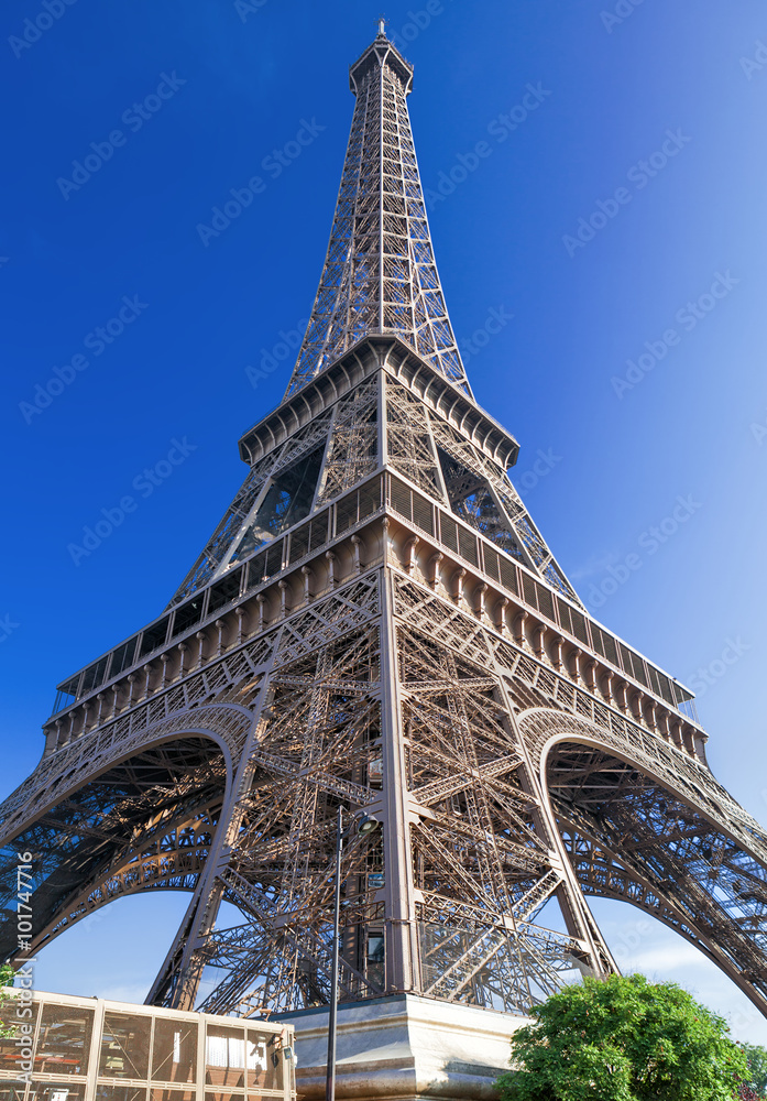 Fotografie The Eiffel Tower Paris France