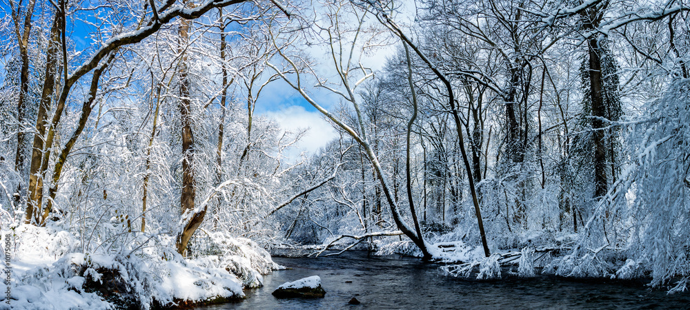 Fototapeta premium Richland Creek Panorama with sunlight