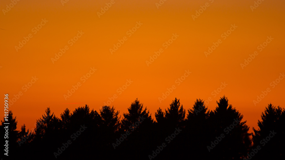 Sonnenuntergang über dem Arnsberger-Wald