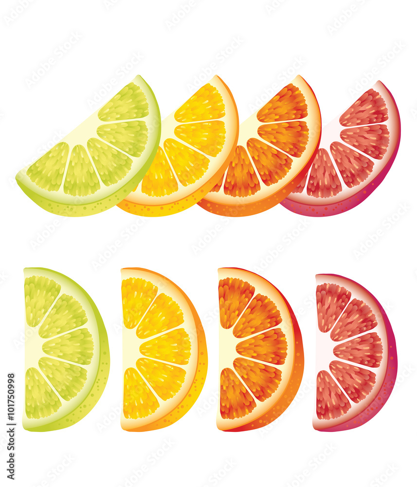 Photo realistic illustration of colorful slices of orange, grapefruit, lime, lemon on white background.