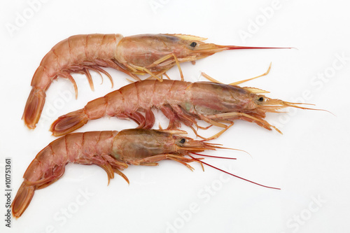 three prawns on white