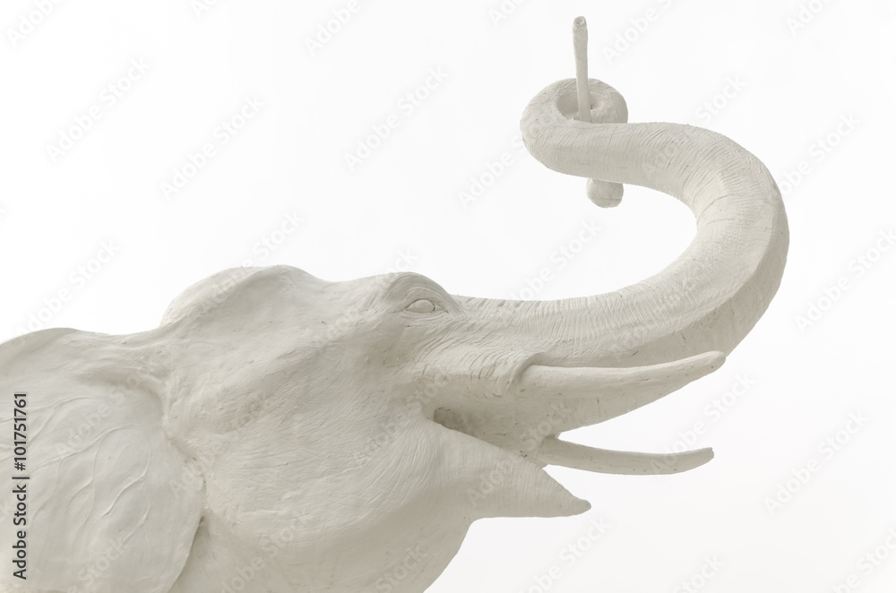 Obraz premium White Elephant