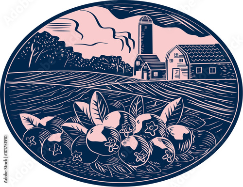 Cranberry Fruit Farm Oval Woodcut