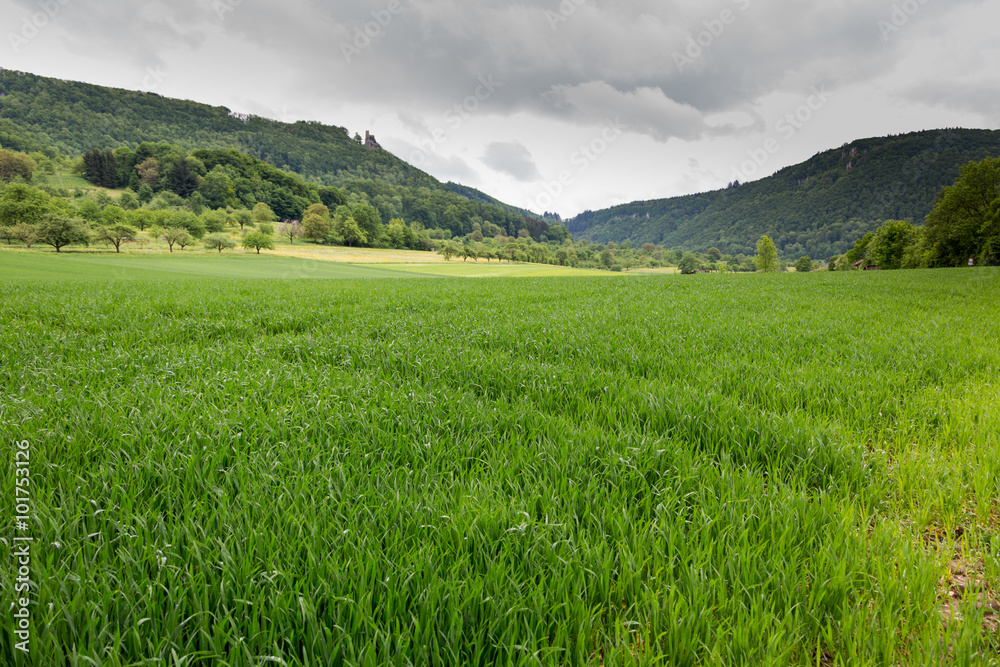 Schwäbisches Albvorland