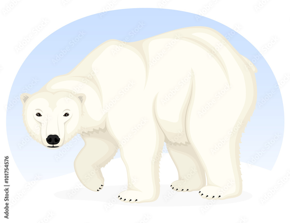 Vector illustration of a cartoon polar bear against a sky blue background. Vector illustration of a cartoon polar bear against a sky blue background.