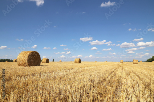 straw bales after harvest