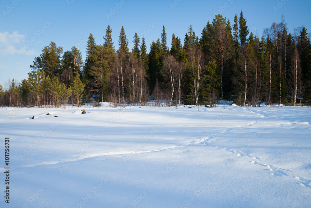 Fototapeta premium Abendstimmung über einem gefrorenen See in Schweden 