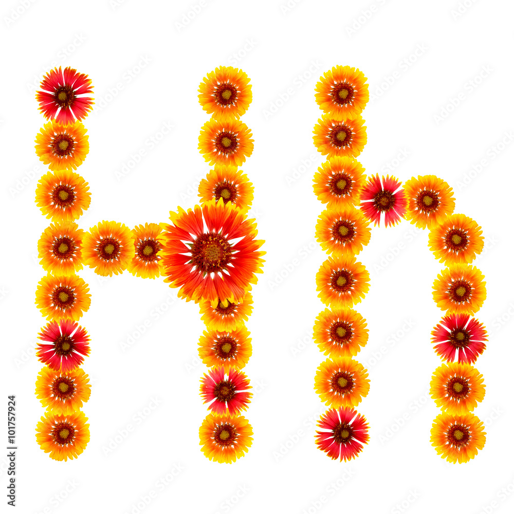 English alphabet from the flowers of yellow and red isolated English alphabet from the flowers of yellow and red isolated
