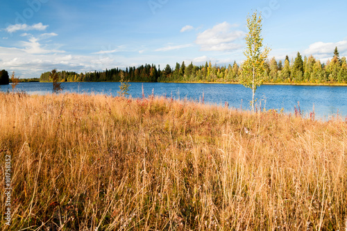 Herbst in Finnland