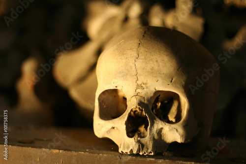 Ancient skull lying in the shadow