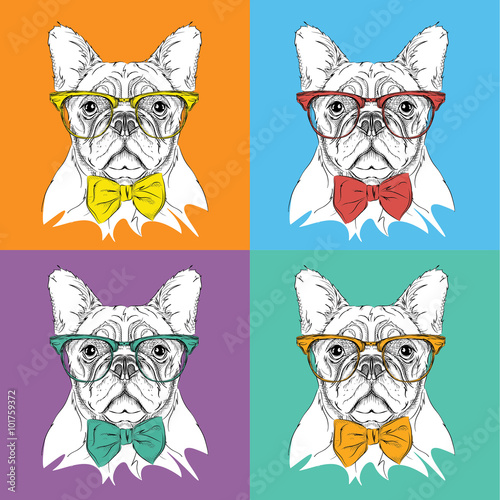 Image Portrait of dog in the cravat and with glasses. Pop art style vector illustration.