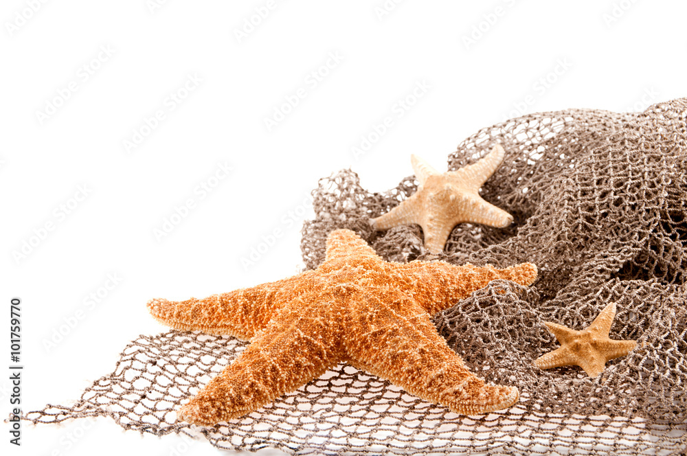 Φωτογραφία three sea the stars of different sizes lie on the fishing net on