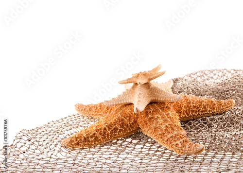 three sea the stars of different sizes lie on each other on the