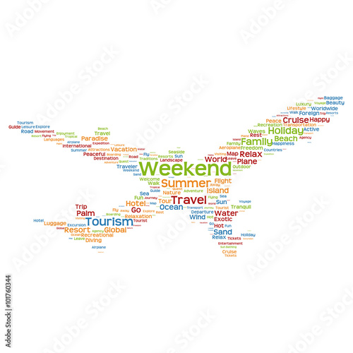 Vector conceptual travel or tourism plane word cloud