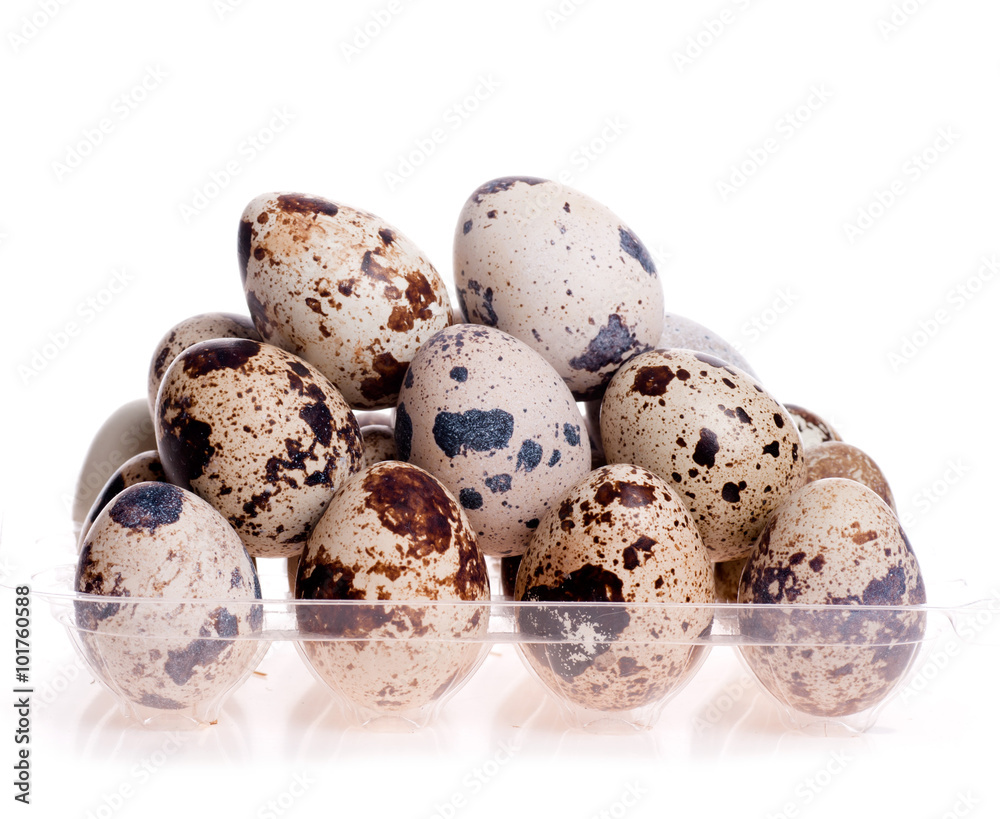 quail eggs on each other on the white quail eggs on each other on the white