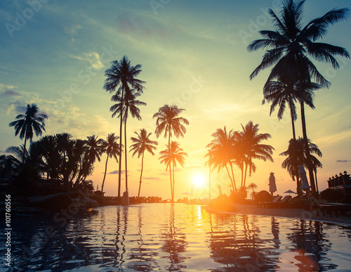 Palm trees on a tropical seaside during amazing sunset.