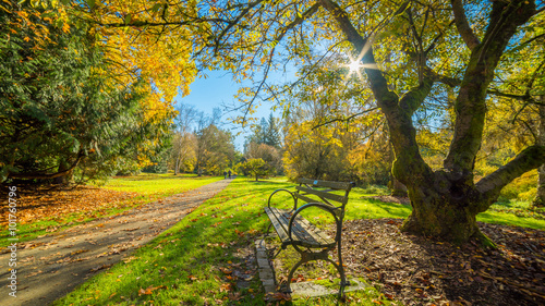 Washington park arboretum, Autumn