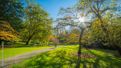 Washington park arboretum  Autumn